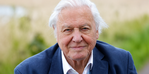 susan attenborough